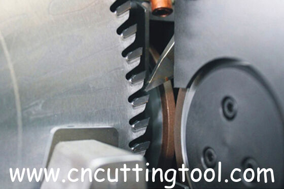CNC control circular saw blade carbide tips top grinding machine