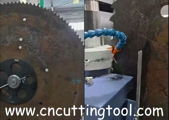 CNC control multi function saw blade sharpening and grinding machine
